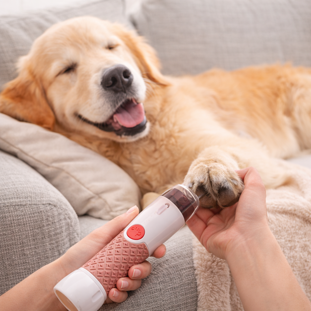 PataPerfecta™- Cortador Uñas para Mascotas con Limas 360°